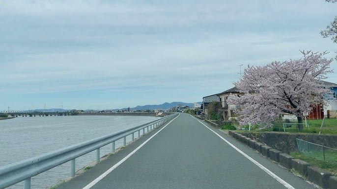 🌳 도요하시 공원(토요하시 코엔) 이미지 8